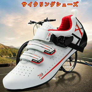 TCNOV[Y [hoCN Y  [hoCNV[Y ]ԌC C V[Y fB[X ] X|[c oCNV|Y C  K 炩