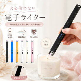【0のつく日×40％OFFクーポン】【楽天1位】 USB充電式 電子ライター プラズマライター アークライター Type-C充電式 風に強い 火が出ない 安全ロック付き LED電量表示 ロングタイプ 線香ライター キャンドルライター ガス不要 オイル不要