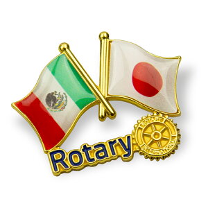 y[^[NuSz FDrobW {29̍gݍ킹ăAɍČI`wbh×~|[gp̊̂fUCŁȂ݊