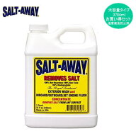 SA128《ソルトアウェイ　原液3784ml》単品