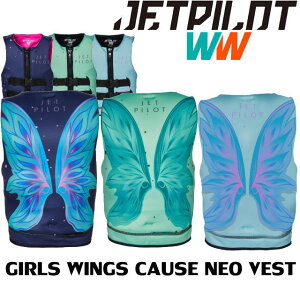 X݌SALEyJETPILOT/WFbgpCbgzJA22211GsGIRLS@WINGS CAUSE NEO VESTtCɐɃv[Ɂ@LbYCtWPbg@qpCtWPbg@KIDS@Tbv{[h@g[CO`
