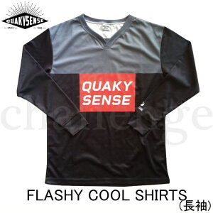 lR|XyQUAKYSENSE/NG[L[ZXz22FCL@FLASHY@COOL@SHIRTS@tbV[N[Vc@