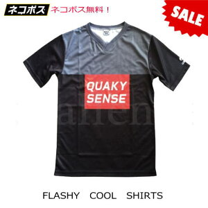 lR|XyQUAKYSENSE/NG[L[ZXz22FCS@FLASHY@COOL@SHIRTS@tbV[N[Vc@