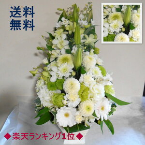 y ԁzyzyzy݁zy摜zMz 䋟  @  @v dis|}gāj f5004