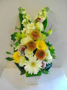 yԁz yzy݁zyԁz i܂ECG[n) f4002