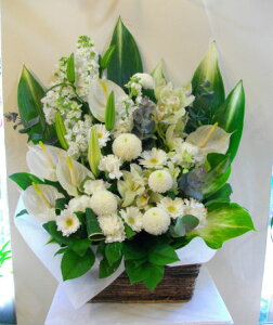 yԁz yzy݁zyԁz i O[j f10001