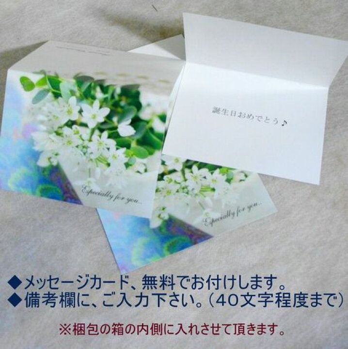 楽天市場 送料無料 あす楽 九州北海道不可 画像サービス お供え 花 法事 お供え花 生花 御供 アレンジメント ペット 愛犬 愛猫 お悔やみ お悔み 供養 命日 四十九日 法要 枕花 月命日 仏花 一周忌 お供え花 父の日 メッセージカード 白リボン F04 花