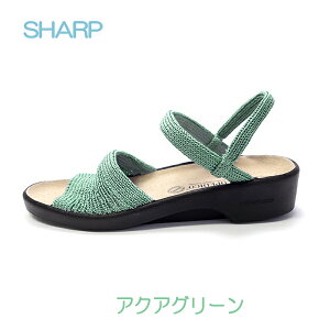 ARyfBR T_ ARCOPEDICO GǏC NVbNC V[v SHARP T_ ANAO[ O[ X[NsN c킸 s ԕis