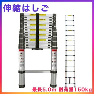 ͂ Lk 5m 150kg nVS q ƒp Ɩp ЊQ h {t 40