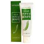 歯磨き粉 なたまめ 歯磨き 120g フッ素フリー なた豆 なたまめ茶 なたまめ はみがき ハミガキ ハミガキ粉 歯みがき お買い物マラソン