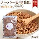 スーパー大麦 お徳用 ロースト バーリーマックス 380g シリアル 腸活 スーパーフード 送料無料 レジスタントスターチ スーパーセール
