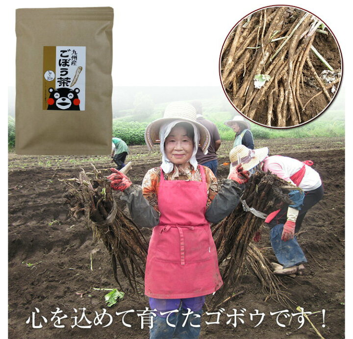 楽天市場】ごぼう茶 国産 ティーバッグ 30包 3g 九州産 皮付きごぼう 
