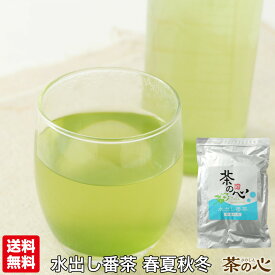 水出し 番茶 ティーパック 40包 緑茶 ティーバッグ クロレラ 健康茶 植物茶