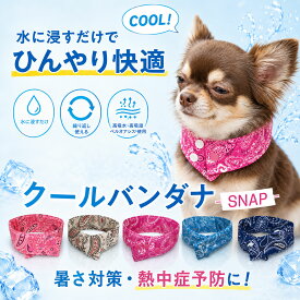 【水で濡らしてひんやり気持ちいい、クールバンダナ:ペーズリー柄】夏バテ防止 熱中症対策 水で濡らす Cool クールバンダナ 夏バテ 熱中症対策 暑さ 気化熱 ペット 犬 夏 暑さ ひんやり 冷え 夏用品 対策 涼感 水分 小型犬 中型犬 散歩 外出