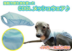 yzIG⊴N[bV { lC 킢 ̕ ybg  C^AO[nEh ~js C^O ʋC bV m  ڐG⊴ 