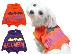 yz*nEBP[v}g* t[X  _炩 IXX lC _bNX v[h 킢 ̕ H ~ ybg  t[X v[g CX^ p[eB Xq P[