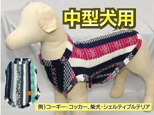 yzjbgXgCv[W ^  _炩 IXX lC  m H ~ g ybg  ~ H  ybg 傫 Č R[M[ RbJ[ ueA VFe