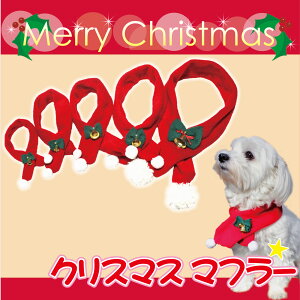 yzs ybgp X'mas }t[ t NX}X RX`[ p[eB[ ObY IXX lC _bNX v[h 킢 ̕ H ~ h ybg v[g CX^ f p[