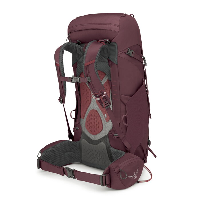 楽天市場】バックパック レディース【OSPREY オスプレー カイト38 