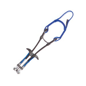 JyTotem g[eJ0.65z 7900411 veNV lC NbN ApC NC~O