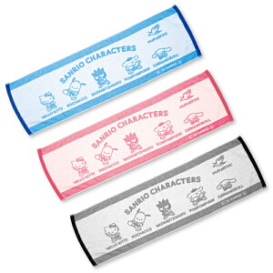 yzSANRIO CHARACTERS×HAYATE X|[c^IyTIz