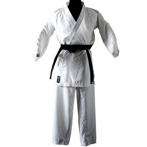 �y�~�c�{�V�z�uAirize�v (JAPAN KARATE DESIGN) �㉺�Z�b�g�yHAYATE�z