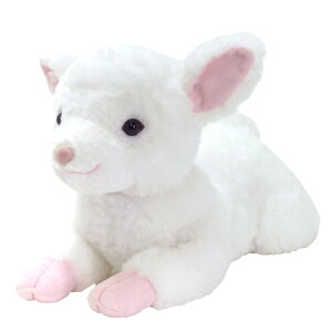 yVizЂЂ STCYyʁBzցzʂ݁@t@V[@v[g@qā@Mtg@Ђ@qcW@r