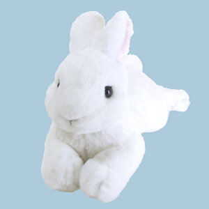 yVizЂ zCg STCYyʁBzցzʂ݁@t@V[@v[g@qā@Mtg@@ETM