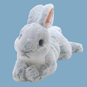 yVizЂ O[ STCYyʁBzցzʂ݁@t@V[@v[g@qā@Mtg@@ETM