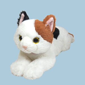 yVizЂ˂ ~P STCYyʁBzցzʂ݁@t@V[@v[g@qā@Mtg@lR@L