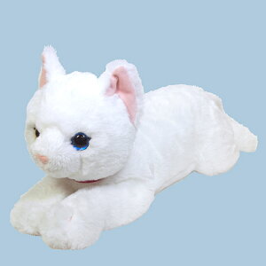 yVizЂ˂ IbhACzCg MTCYyʁBzցzʂ݁@t@V[@v[g@qā@Mtg@lR@L