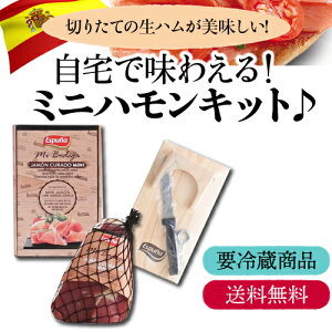 y N[㍞ zGXv[j ~jn 3_Zbg ubN 1kg XyCY n nZ[m ① J^L