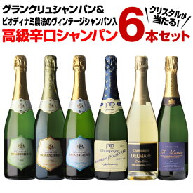 ≪600セット限定プレゼント付≫【送料無料】 グランクリュ＆ビオディナミシャンパン入！ こだわり抜いた高級辛口シャンパン6本セット 第19弾 シャンパーニュ シャンパン 飲み比べ セット スパークリング ギフト プレゼントHTC