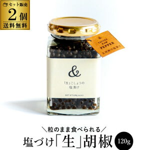 ypTCYzPEPPER Ђ Ӟ 120g×2 240g J{WAY I[KjbNCAMBODIA ̂܂  Ӟ 傤 ybp[ Vo  ՕP