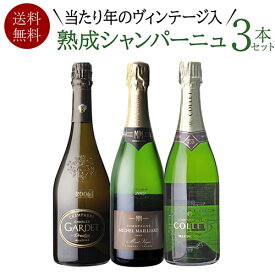 【 P7倍 】【1本あたり11,000円(税込) 送料無料 】2000年代 で揃えた 熟成 シャンパーニュ 3本セット 750ml 3本入 2弾フランス ワインセット 熟成ワイン 浜運 ハロウィン クリスマス期間:11/4 20:00～11 1:59