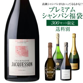 プレミアム シャンパン福袋 110弾 高級 シャンパン を探せ トゥルベ トレゾール ジャクソン ディジー ルージュ ロゼ 2008 マグナム が入ってるかも!? 【先着300本限り】 シャンパン シャンパーニュ リカーマウンテン 福袋 WK くじ 【送料別】