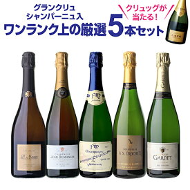 【1,000円OFFクーポンで1本/4,800円】送料無料 シャンパンセット 実力派メゾンだけを集めた高級辛口シャンパン5本セット 45弾 シャンパン シャンパーニュ 当たり入セット 浜運A