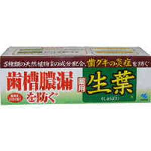 ѐ t(傤悤) pn~KL 100g