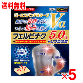 【4月25日(木)限定！当店ポイント5倍セール】【第2類医薬品】ビーエスバンFRテープVα　50枚×5個セット