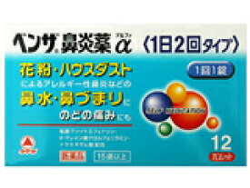 【第(2)類医薬品】ベンザ鼻炎薬α(1日2回タイプ) 12錠