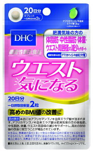 DHC@EGXgCɂȂ@40i20j