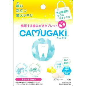 CAMUGAKI ݂^ubgiJKLj@20yЊQpizyL΍zyhЃObYz