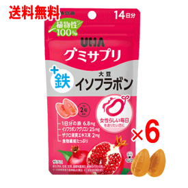 UHA味覚糖　UHAグミサプリ 鉄＋大豆イソフラボン　28粒×6個セット