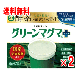 【4月25日(木)限定！当店ポイント5倍セール】【送料無料】グリーンマグマプラス 90g×2個セット