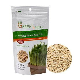 犬と猫が好きな草のタネ　200g×4袋　猫草　関東当日便