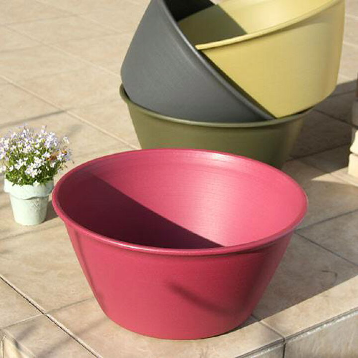 円 世界の ビオトープ めだか 豪華ビオトープフルセット ビオ植物１０種 睡蓮鉢