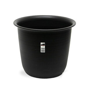 Jo[@nXɍœK@c[@ubN@a540×450@12p@Ȃ@֓