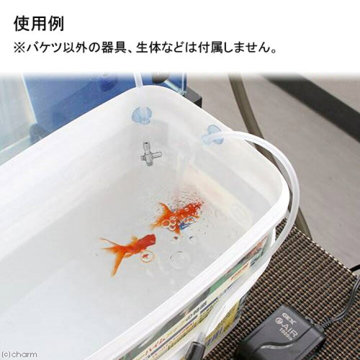 楽天市場 点滴法で生体にやさしい 水抜き 水合わせキット エーハイムろ材用 ５ｌバケツのおまけつき お一人様２点限り 関東当日便 Charm 楽天市場店