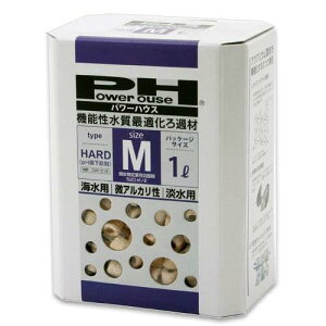 p[nEX@n[h^Cv@MTCY@WECp@1bg@pH㏸@ށ@AJ@֓