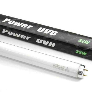 @|SiNu@roEO[@p[UVB@32Wi90cmpj@঒ށ@Cg@O@UV@֓